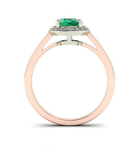 Anillo venice